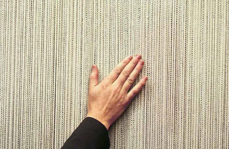 David Rowland 1956 museum wall surface